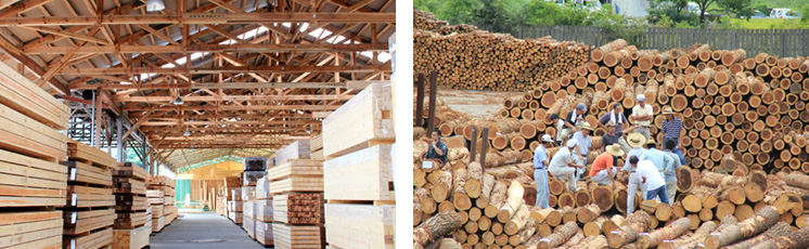 原木市場、製品市場（真庭の木材業の生産流通システム）