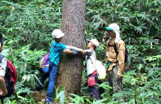森林教室、自然観察、環境学習